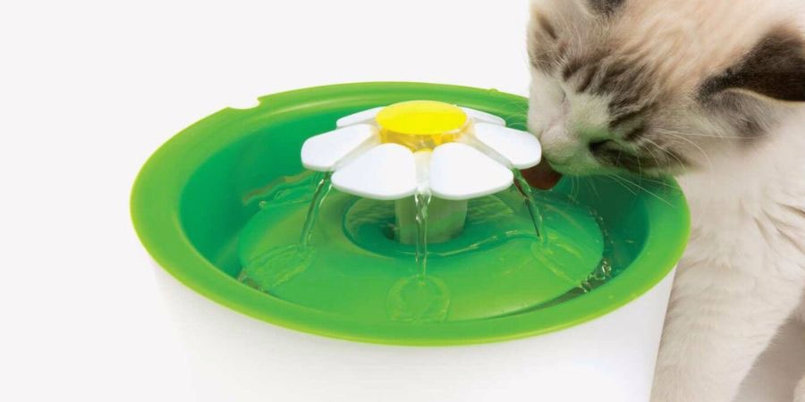 bebedero electrico gatos con flor