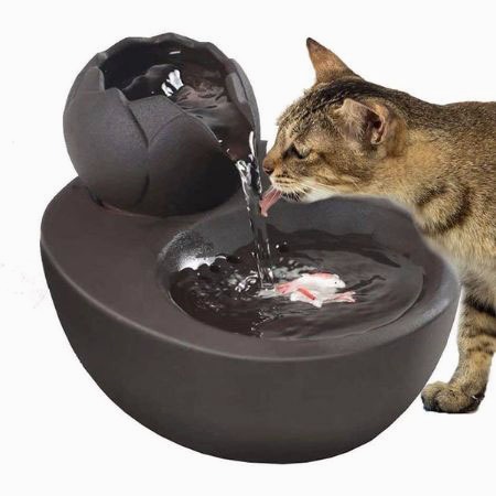 fuente ceramica gatos