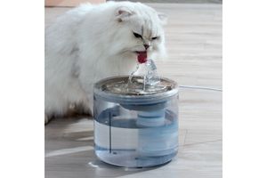 bebedero gato persa